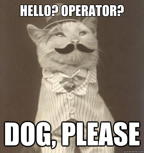 HELLO? OPERATOR? dog, PLEASE    