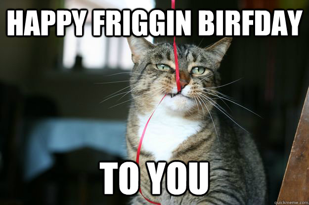 happy friggin birfday to you - happy friggin birfday to you  disgruntled balloon cat