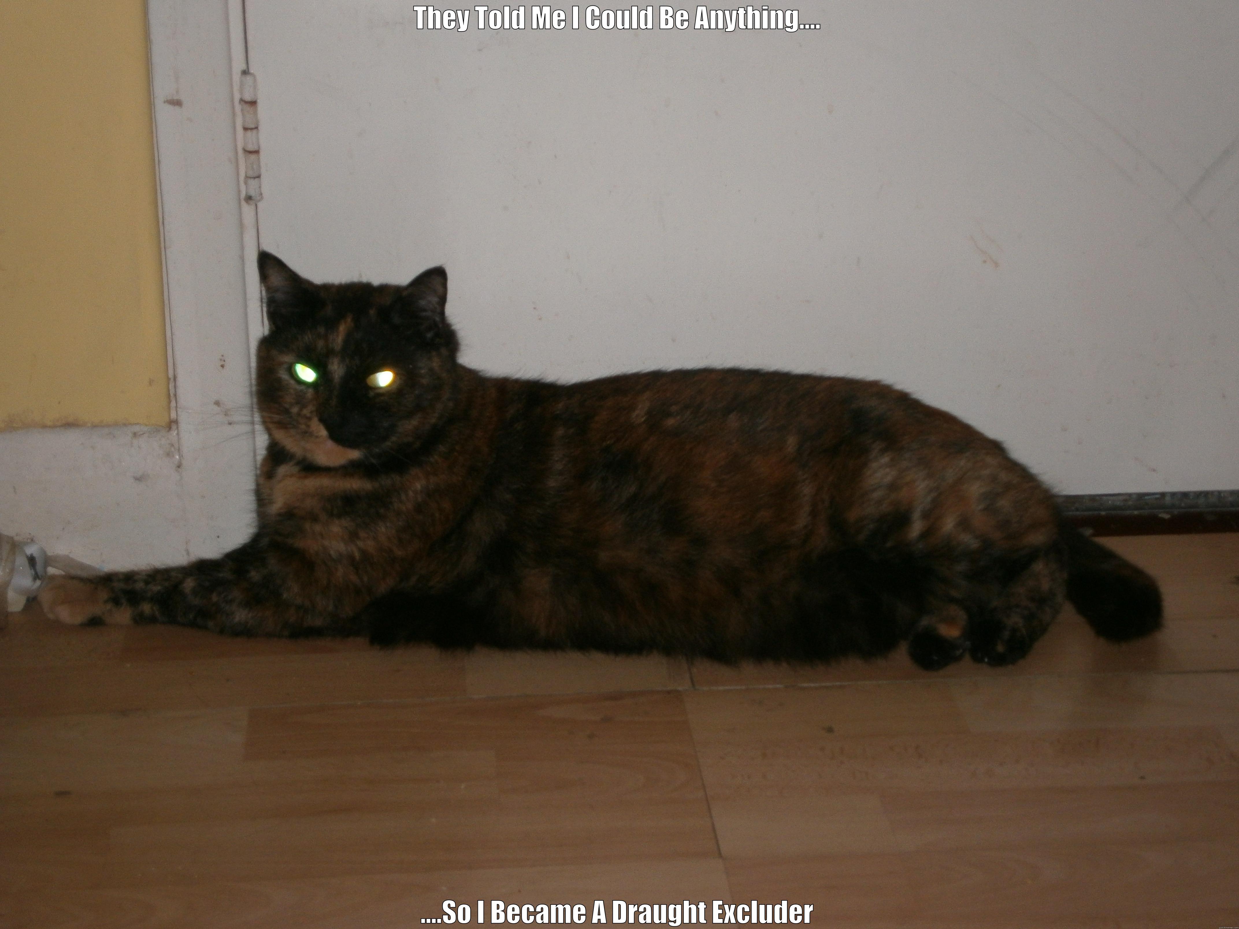 draught cat - THEY TOLD ME I COULD BE ANYTHING.... ....SO I BECAME A DRAUGHT EXCLUDER Misc