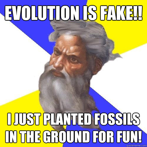 evolution is fake!! I just planted fossils in the ground for fun!  Advice God