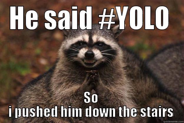 HE SAID #YOLO SO I PUSHED HIM DOWN THE STAIRS Evil Plotting Raccoon