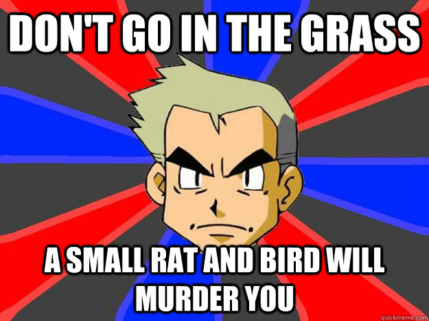 don't go in the grass A small rat and bird will murder you  Professor Oak