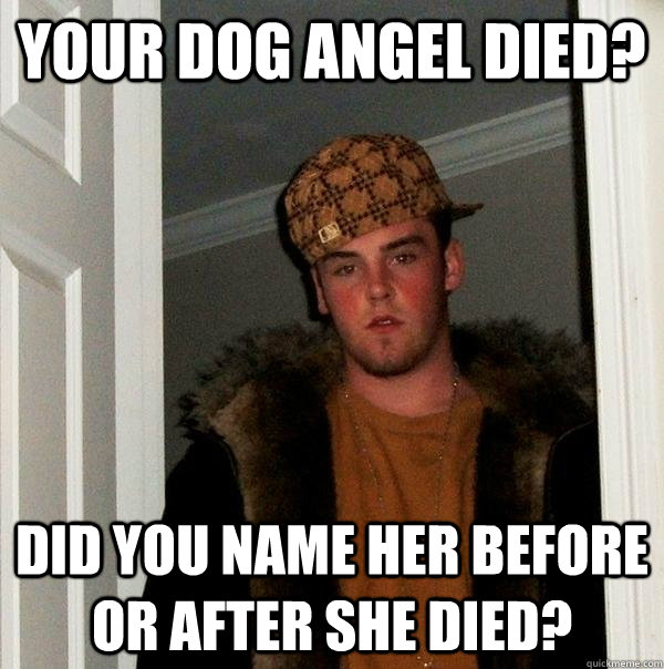 Your dog angel Died? Did you name her before or after she died?  Scumbag Steve