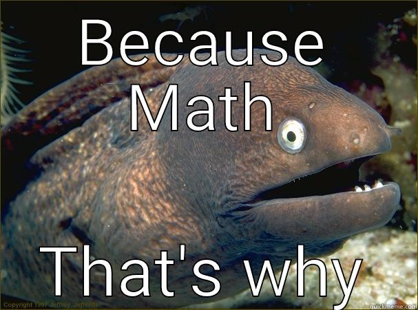 BECAUSE MATH THAT'S WHY Bad Joke Eel