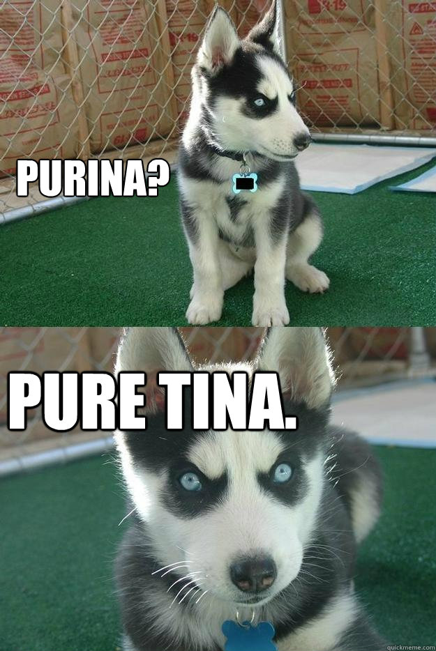 Purina? Pure Tina.  Insanity puppy