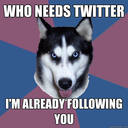 who needs twitter I'm already following you - who needs twitter I'm already following you  Creeper Canine