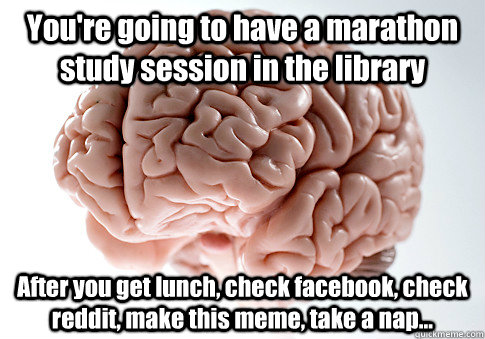 You're going to have a marathon study session in the library After you get lunch, check facebook, check reddit, make this meme, take a nap...   Scumbag Brain