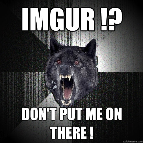 imgur !? DOn't put me on there !  Insanity Wolf