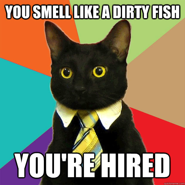 You smell like a dirty fish You're hired  Business Cat