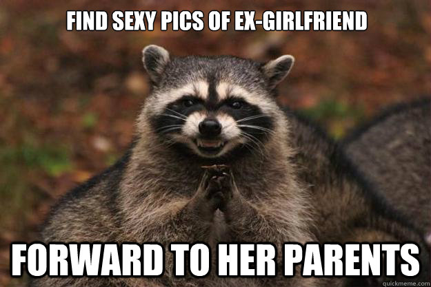 Find sexy pics of ex-girlfriend Forward to her parents - Find sexy pics of ex-girlfriend Forward to her parents  Evil Plotting Raccoon