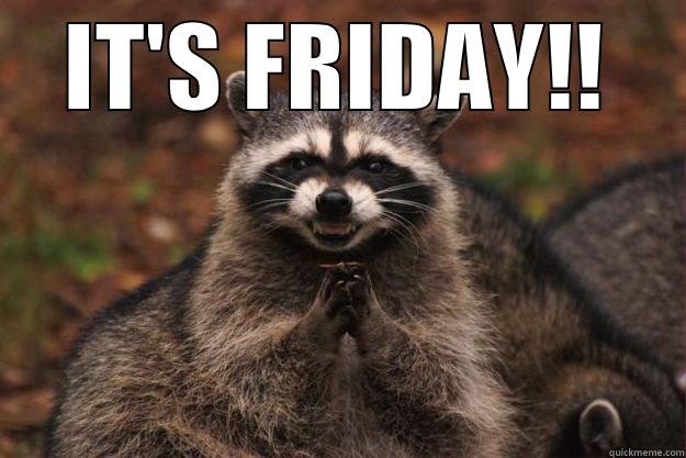  IT'S FRIDAY!! Evil Plotting Raccoon