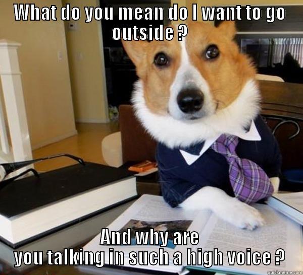 WHAT DO YOU MEAN DO I WANT TO GO OUTSIDE ? AND WHY ARE YOU TALKING IN SUCH A HIGH VOICE ? Lawyer Dog