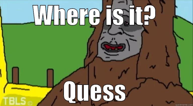 WHERE IS IT? QUESS Misc