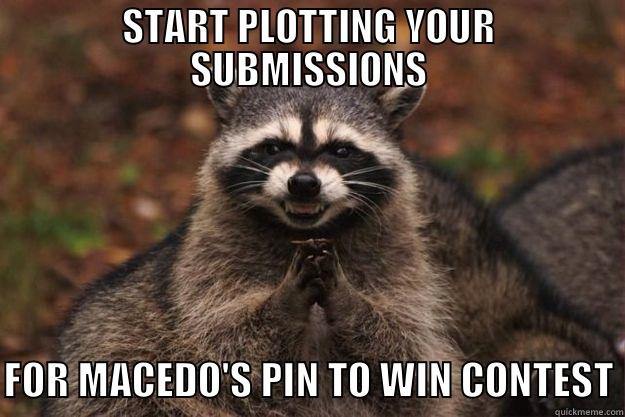 START PLOTTING YOUR SUBMISSIONS  FOR MACEDO'S PIN TO WIN CONTEST Evil Plotting Raccoon