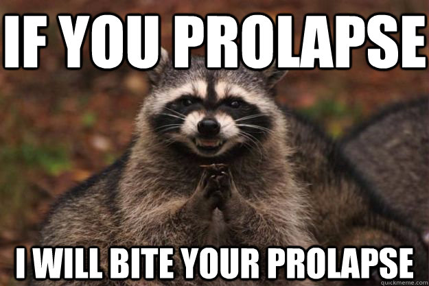 if you prolapse  i will bite your prolapse - if you prolapse  i will bite your prolapse  Evil Plotting Raccoon