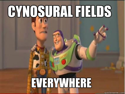 Cynosural fields Everywhere - Cynosural fields Everywhere  woody and buzz