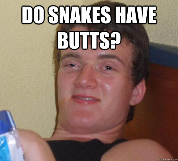 Do snakes have butts? - Do snakes have butts?  10 Guy