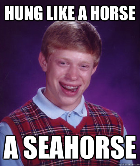 Hung like a horse A seahorse  Bad Luck Brian