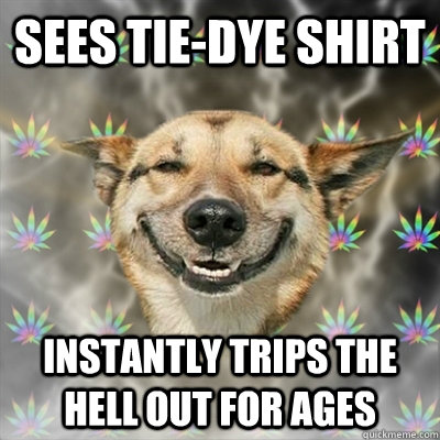 Sees tie-dye shirt instantly trips the hell out for ages  Stoner Dog