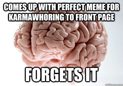 Comes up with perfect meme for karmawhoring to front page Forgets it - Comes up with perfect meme for karmawhoring to front page Forgets it  Scumbag Brain