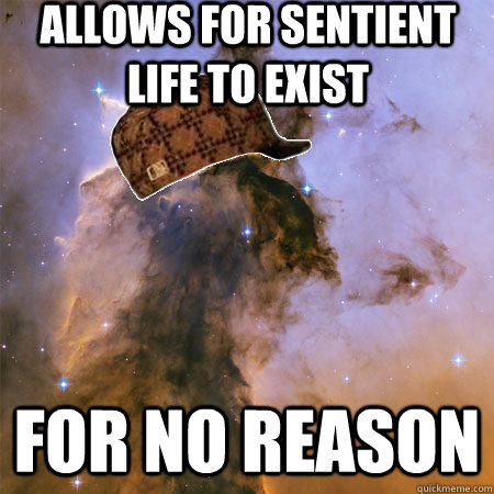 Allows for sentient life to exist FOR NO REASON  Scumbag Universe
