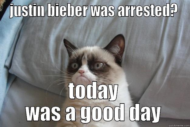 JUSTIN BIEBER WAS ARRESTED? TODAY WAS A GOOD DAY Grumpy Cat