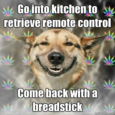 Go into kitchen to retrieve remote control Come back with a breadstick  Stoner Dog