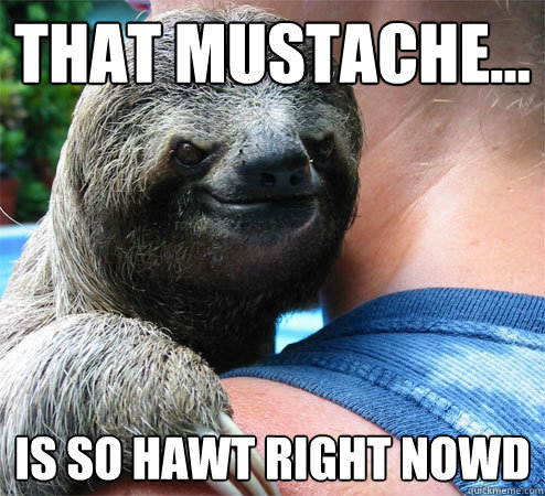 That mustache...
 is so hawt right nowd
  Suspiciously Evil Sloth