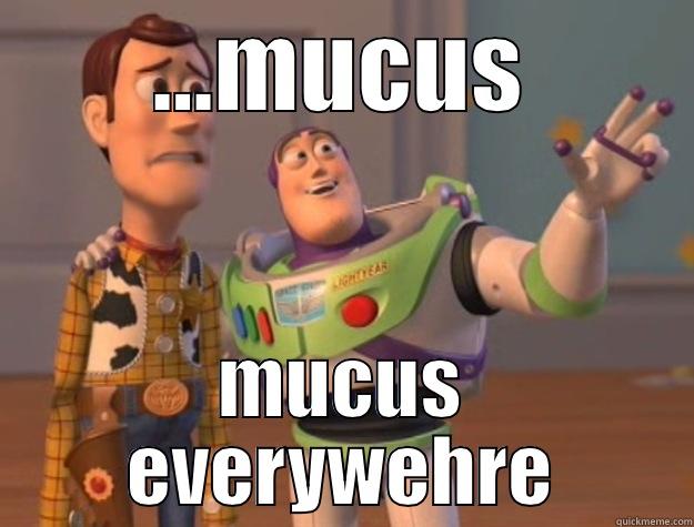 ...MUCUS MUCUS EVERYWEHRE Toy Story