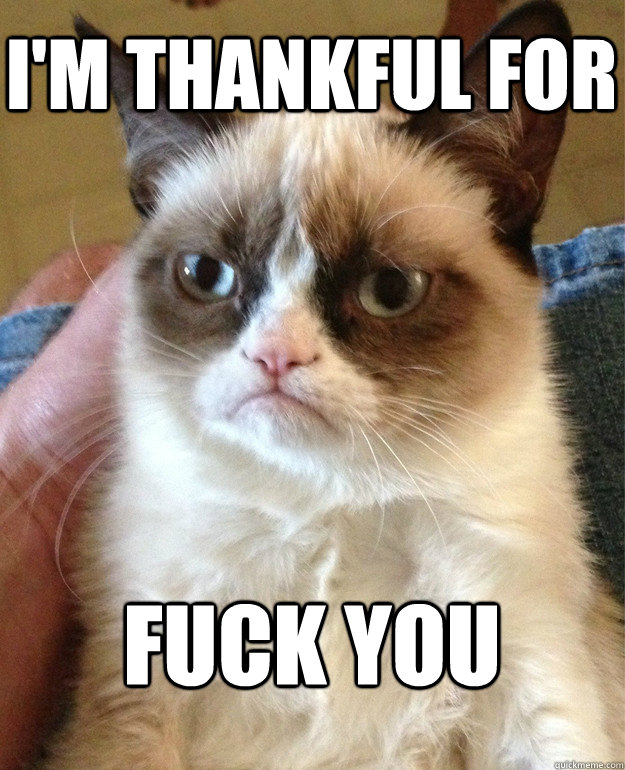 I'm thankful for fuck you - I'm thankful for fuck you  Grumpy Cat