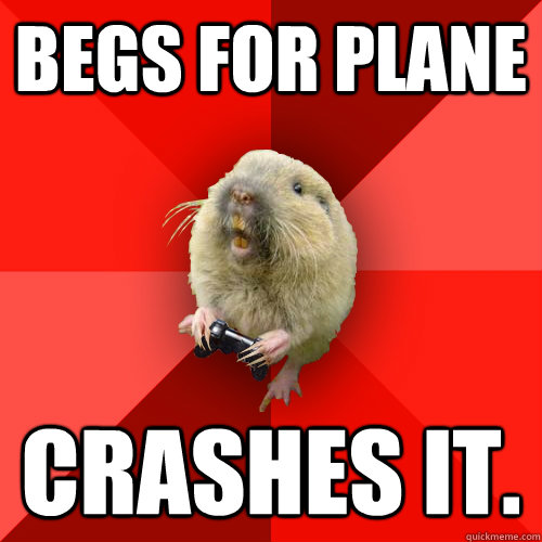 Begs for Plane CRASHES IT.  Gaming Gopher