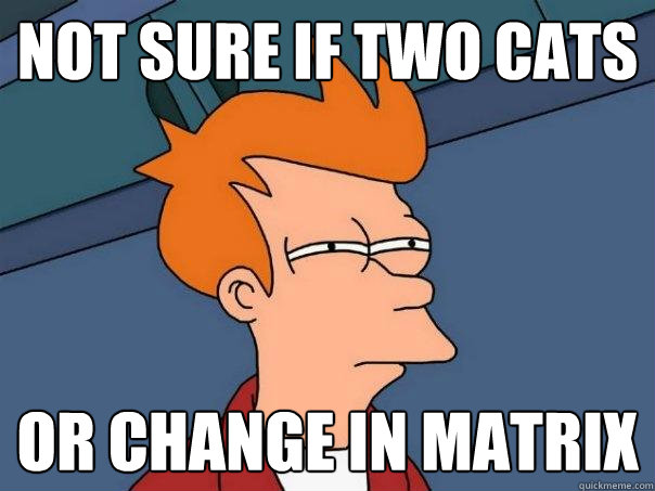 not sure if two cats or change in matrix  Futurama Fry