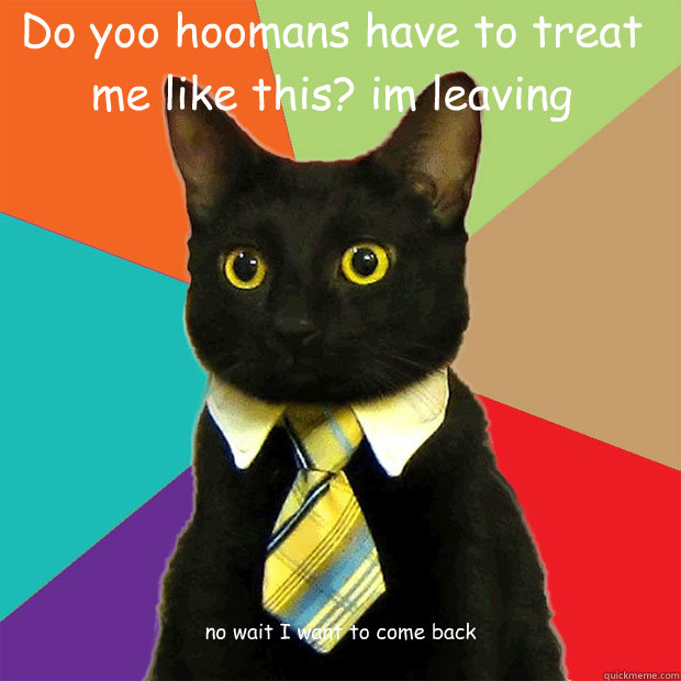 Do yoo hoomans have to treat me like this? im leaving no wait I want to come back ILL BE BACK HOOMANS! JUST YOO WAIT!!!!  Business Cat