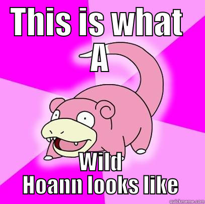 wild hoann - THIS IS WHAT  A WILD HOANN LOOKS LIKE Slowpoke