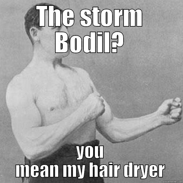 THE STORM BODIL? YOU MEAN MY HAIR DRYER overly manly man