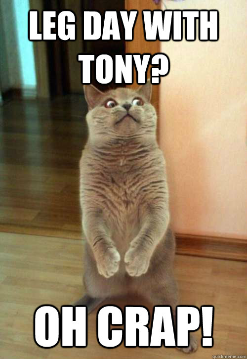 LEG DAY WITH Tony? OH CRAP! - LEG DAY WITH Tony? OH CRAP!  Horrorcat