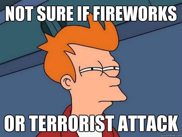 Not sure if Fireworks or terrorist attack  Futurama Fry