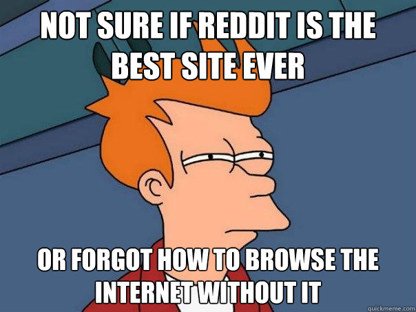 Not sure if reddit is the best site ever Or forgot how to browse the internet without it - Not sure if reddit is the best site ever Or forgot how to browse the internet without it  Futurama Fry