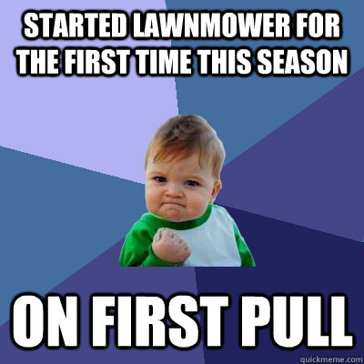 Started lawnmower for the first time this season On first pull - Started lawnmower for the first time this season On first pull  Success Kid