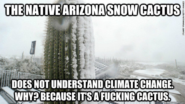 The native Arizona Snow cactus does not understand climate change. Why? Because it's a fucking cactus. - The native Arizona Snow cactus does not understand climate change. Why? Because it's a fucking cactus.  Snow Cactus