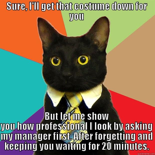 Professionalism at Party City - SURE, I'LL GET THAT COSTUME DOWN FOR YOU BUT LET ME SHOW YOU HOW PROFESSIONAL I LOOK BY ASKING MY MANAGER FIRST. AFTER FORGETTING AND KEEPING YOU WAITING FOR 20 MINUTES. Business Cat