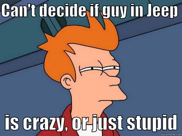 CAN'T DECIDE IF GUY IN JEEP    IS CRAZY, OR JUST STUPID Futurama Fry