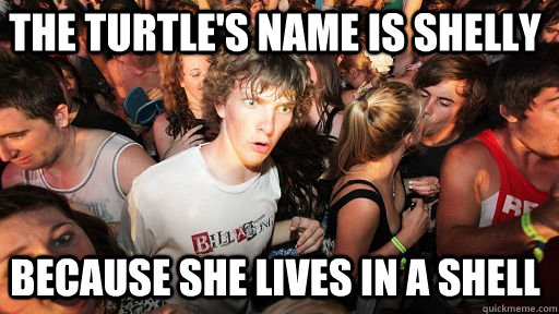 The turtle's name is Shelly because she lives in a shell  Sudden Clarity Clarence