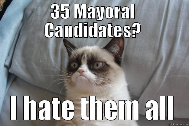 Ranked Choice Voting - 35 MAYORAL CANDIDATES? I HATE THEM ALL Grumpy Cat