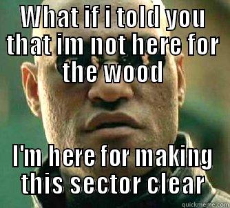 WHAT IF I TOLD YOU THAT IM NOT HERE FOR THE WOOD I'M HERE FOR MAKING THIS SECTOR CLEAR Matrix Morpheus