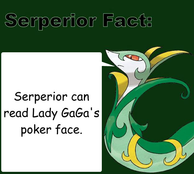 Serperior can read Lady GaGa's poker face.  Serperior Facts