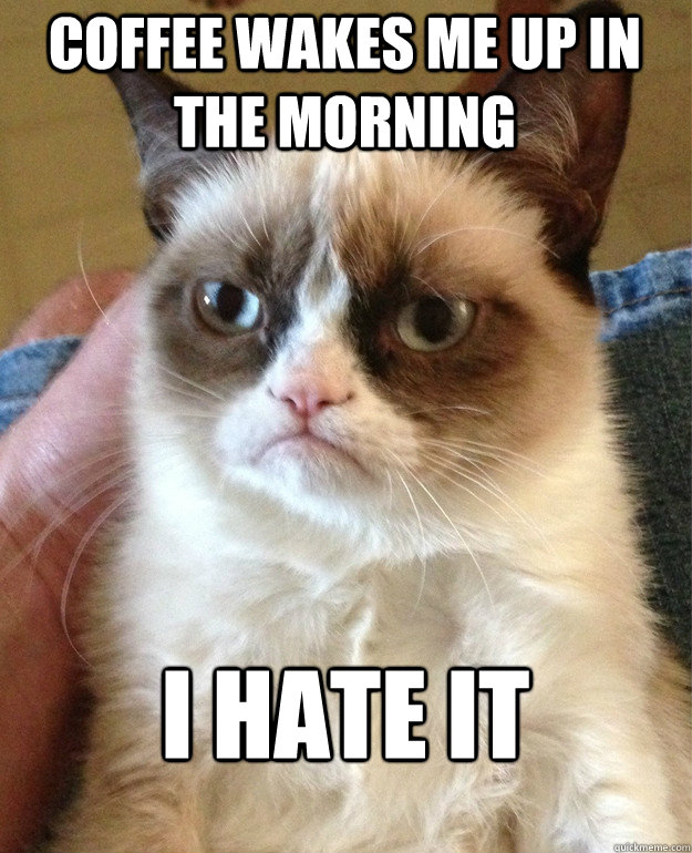 coffee wakes me up in the morning i hate it - coffee wakes me up in the morning i hate it  Grumpy Cat