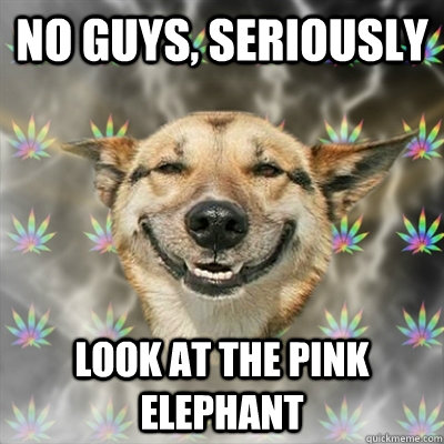 no guys, seriously look at the pink elephant  Stoner Dog