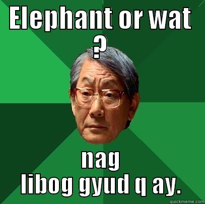 ELEPHANT OR WAT ? NAG LIBOG GYUD Q AY. High Expectations Asian Father