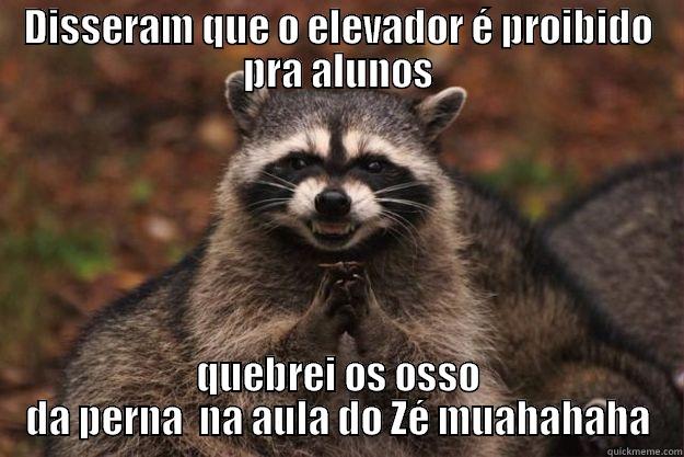 DISSERAM QUE O ELEVADOR É PROIBIDO PRA ALUNOS QUEBREI OS OSSO DA PERNA  NA AULA DO ZÉ MUAHAHAHA Evil Plotting Raccoon